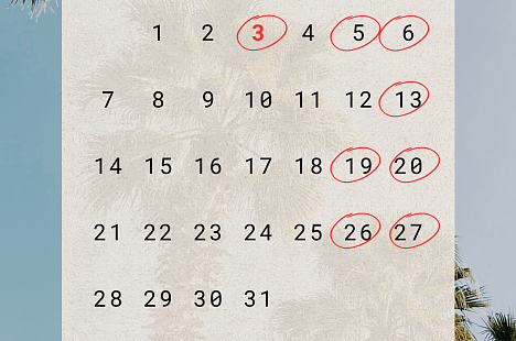 3 июля - День Независимости - график работы в период праздников