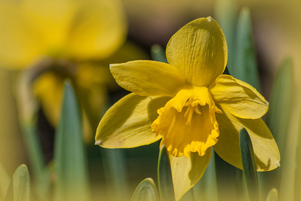 График работы в период апрельских праздников